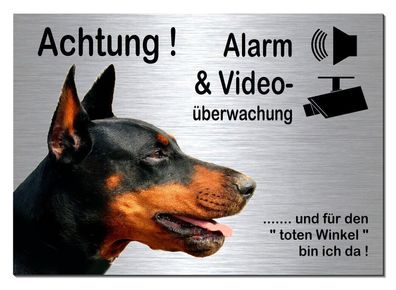 Dobermann-Hund-Alarm-Video-30 x 20 cm Alu-Edelstahl-Optik-Schild-Warnschild