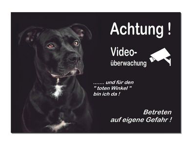 Pitbull-Hund-Aluminium-Video-Überwacht-Schild-3 Größen-Türschild-Warnschild