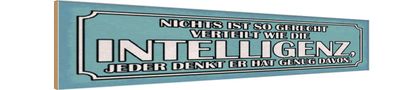 vianmo Holzschild 46x10cm Intelligenz Gerecht Verteilt Spruch Deko Geschenk