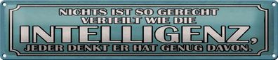 Blechschild Spruch 46x10cm Intelligenz gerecht verteilt Dekoration