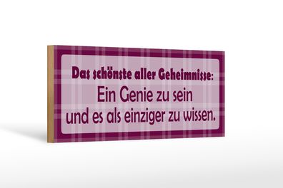 Holzschild Spruch 27x10cm Schönste aller Geheimnisse