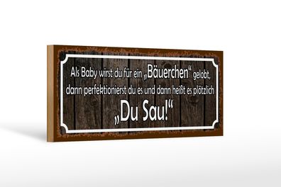 Holzschild Spruch 27x10cm als Baby für Bäuerchen gelobt