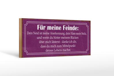 Holzschild Spruch 27x10cm für meine Feinde dein Neid ist