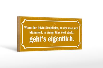 Holzschild Spruch 27x10cm Strohhalm in einem Glas Sekt