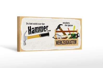 Holzschild Spruch 27x10cm Du bist nicht nur Hammer sondern