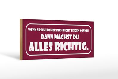 Holzschild Spruch 27x10cm wenn Arschlöcher dich nicht