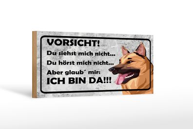 Holzschild Spruch 27x10cm Vorsicht Hund Du siehst mich nicht