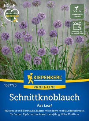 Schnittknoblauch Fat Leaf, F1, Würzkraut und Zierstaude - milder