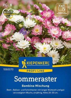 Sommeraster Bambina Mischung, Beet-, Balkon- u. Schnittblume - lange