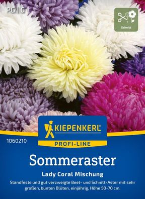 Sommeraster Lady Coral Mischung, standfest - verzweigte Beet- u. Schnittaster