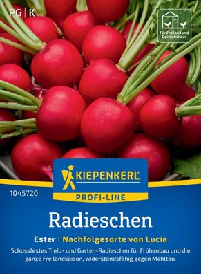 Radieschen Ester, Schossfestes Treib- und Garten-Radieschen - gesamte