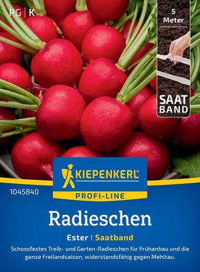 Radieschen Ester, Saatband, Schossfest - Treib- u Gartenradieschen