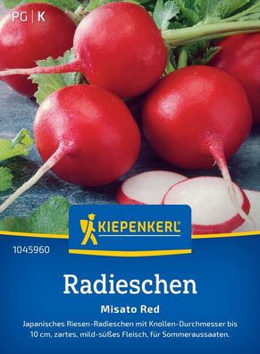 Radieschen Misato Red, Japanisches Riesen-Radies - Knollendurchmesser bis 10