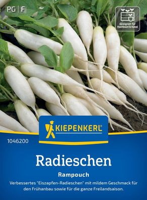 Radieschen Rampouch, Verbessertes Eiszapfen-Radieschen - Frühanbau - für die