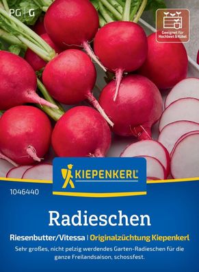 Radieschen Riesenbutter/Vitessa, sehr großes, nicht pelzig werdendes