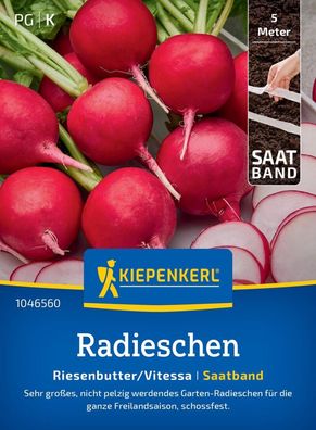 Radieschen Riesenbutter/Vitessa, Saatband, Sehr großes Gartenradieschen