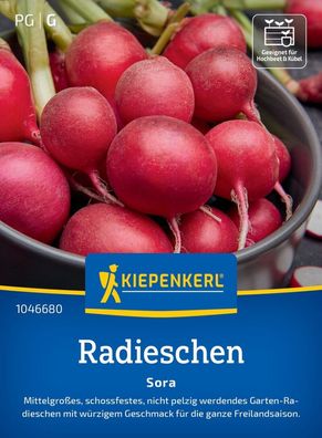 Radieschen Sora, schossfest - mittelgroßes Gartenradieschen - für die gesamte