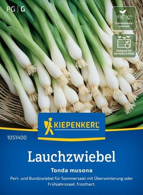 Lauchzwiebel Tonda Musona, Perli- und Bundzwiebel - Sommersaat mit