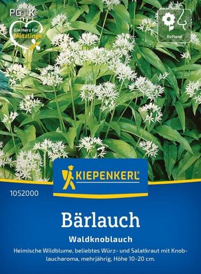 Bärlauch Waldknoblauch, Heimische Wildblume - beliebtes Würz- u Salatkraut