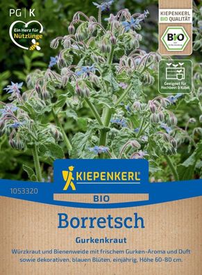 BIO Borretsch Gurkenkraut, Würzkraut und Bienenweide mit frischem