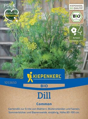 BIO Dill Common, Gartendill - duftender Sommerblüher und Bienenweide, Höhe