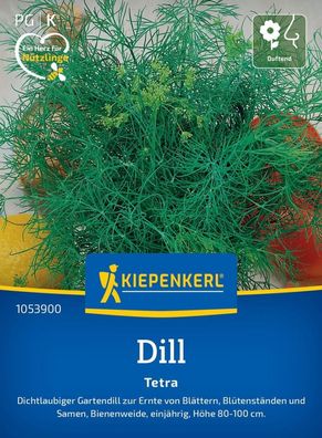 Dill Tetra, Dichtlaubiger Gartendill - duftende Bienenweide - einjährig