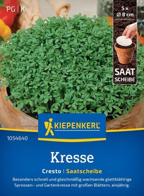 Kresse Cresto, Saatscheibe, Sprossen- und Gartenkresse mit großen Blättern