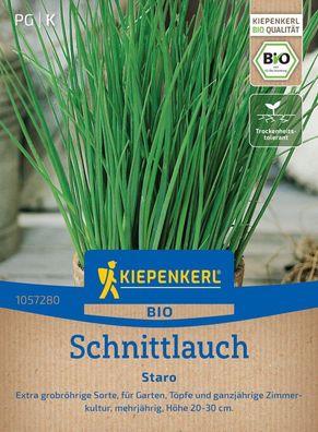 BIO Schnittlauch Staro, Extra grobröhrige Sorte - für Garten, Töpfe und