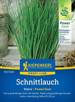 Schnittlauch Staro, PowerSaat, grobröhrige Sorte - für Garten, Töpfe und