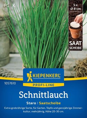 Schnittlauch Staro, Saatscheibe, extra grobröhrige Sorte für Garten, Töpfe