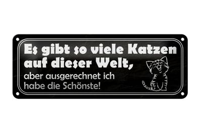 Blechschild Spruch 27x10cm es gibt so viele Katzen auf Welt Dekoration