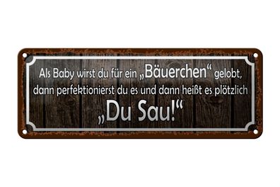 Blechschild Spruch 27x10cm als Baby für Bäuerchen gelobt Dekoration