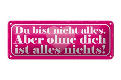 Blechschild Spruch 27x10cm du bist nicht alles aber ohne Dekoration