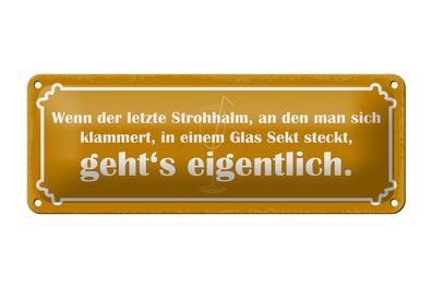 Blechschild Spruch 27x10cm Strohhalm in einem Glas Sekt Dekoration