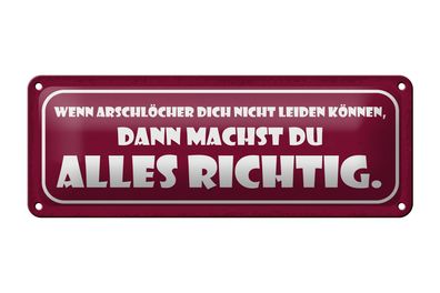 Blechschild Spruch 27x10cm wenn Arschlöcher dich nicht Dekoration