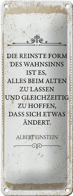 Blechschild Spruch Einstein reinste Form Wahnsinns 10x27cm