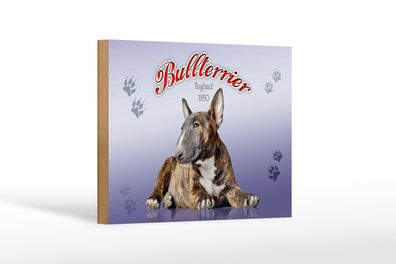 Holzschild Hund 18x12cm Bullterrier England 1850