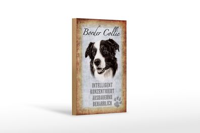 Holzschild Spruch 12x18 cm Border Collie Hund Schild