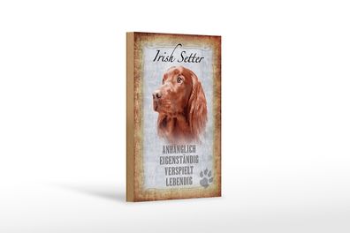 Holzschild Spruch 12x18cm Irish Setter Hund Schild