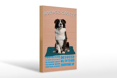 Holzschild Spruch 20x30cm Border Collie Hund protective