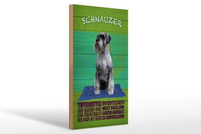 Holzschild Spruch 20x30cm Schnauzer Hund temperamentvoll