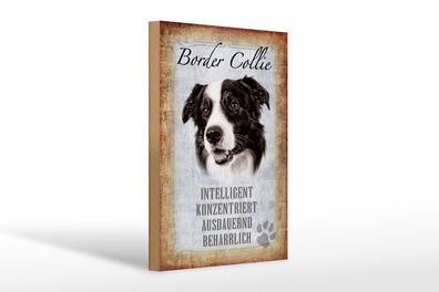 Holzschild Spruch 20x30cm Border Collie Hund Geschenk