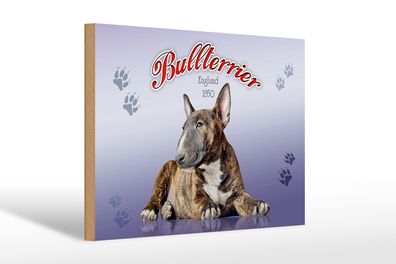 Holzschild Hund 30x20cm Bullterrier England 1850