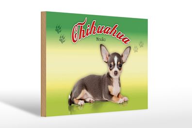 Holzschild Hund 30x20cm Chihuahua Mexiko Wanddeko