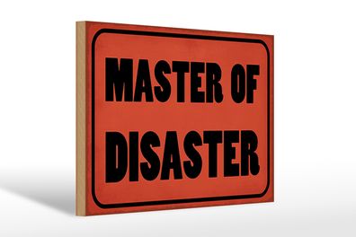 Holzschild Spruch 30x20cm Master of Disaster Geschenk