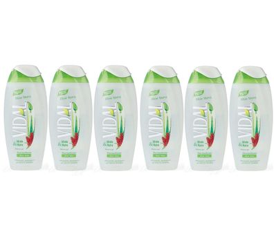 VIDAL Duschgel Aloe Vera 6x 250ml