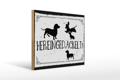 Holzschild Spruch 30x40cm Hereingedackelt