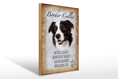 Holzschild Spruch 30x40cm Border Collie Hund Geschenk