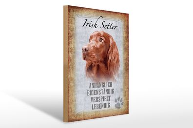 Holzschild Spruch 30x40cm Irish Setter Hund Schild