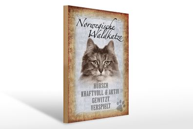 Holzschild Spruch 30x40cm norvegische Waldkatze Katze Wanddeko